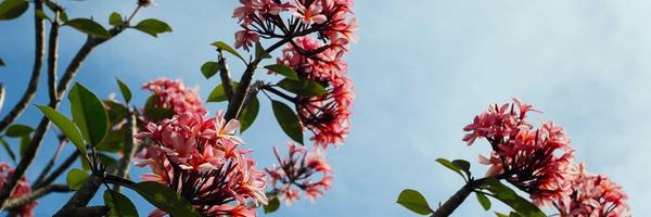 Behind the Lessons Every Higher-Ed Leader Must Know About Transformation